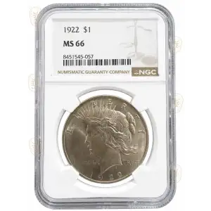 Morgan Silver Dollar