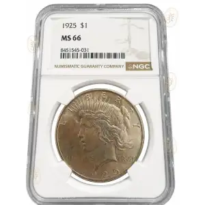 Morgan Silver Dollar
